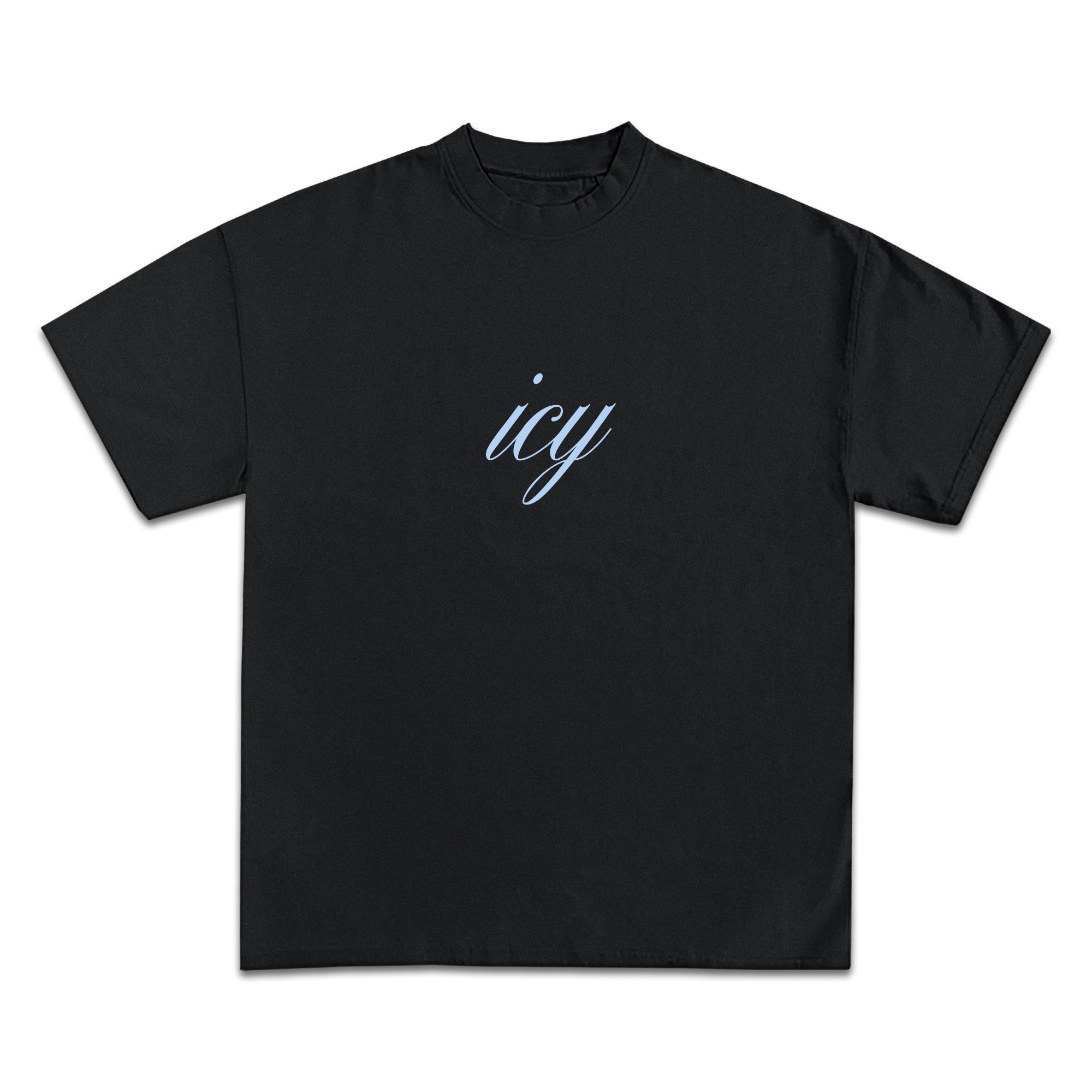 Icy Fullness of Joy T-Shirt