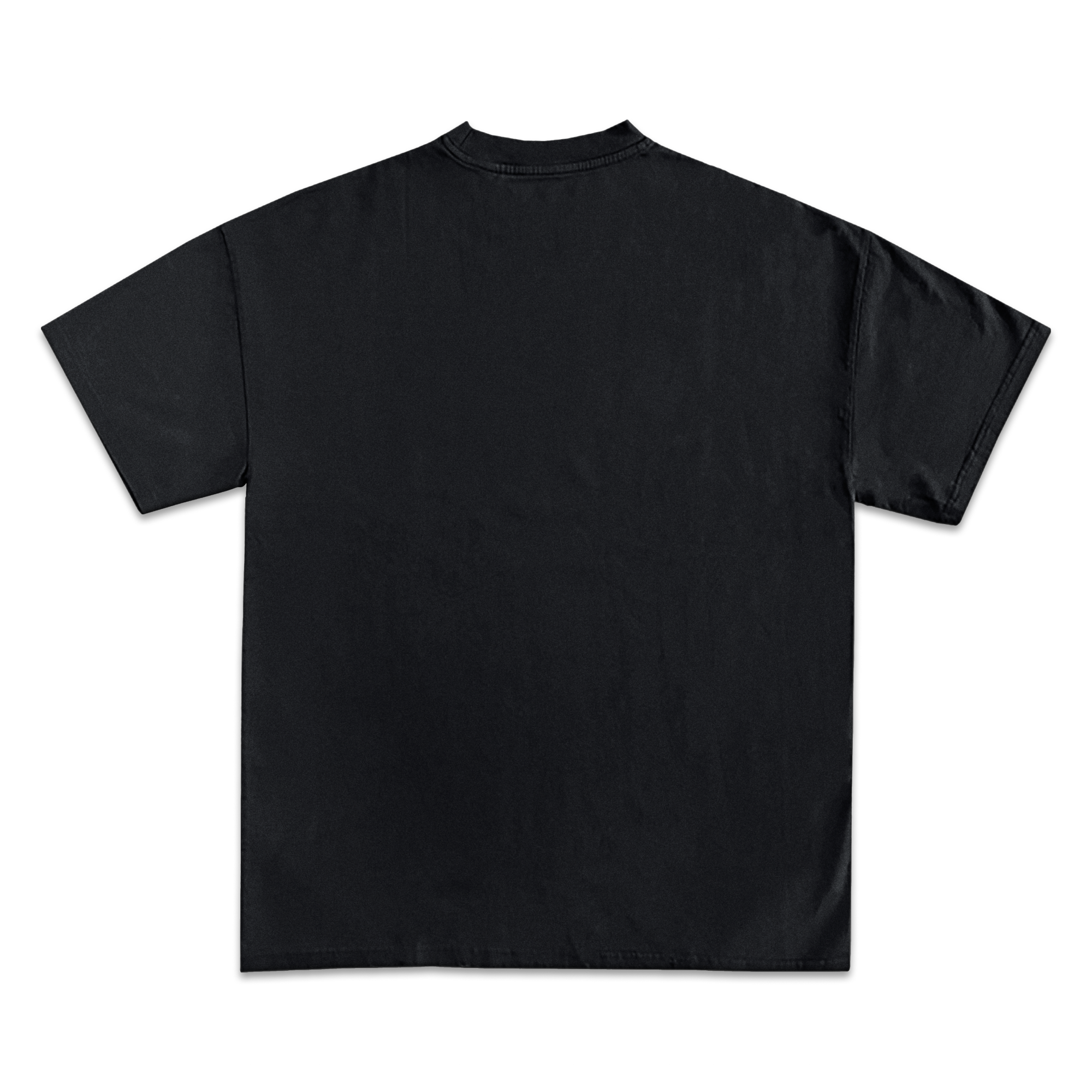 Jay-Z Icy Exclusive Graphic T-Shirt