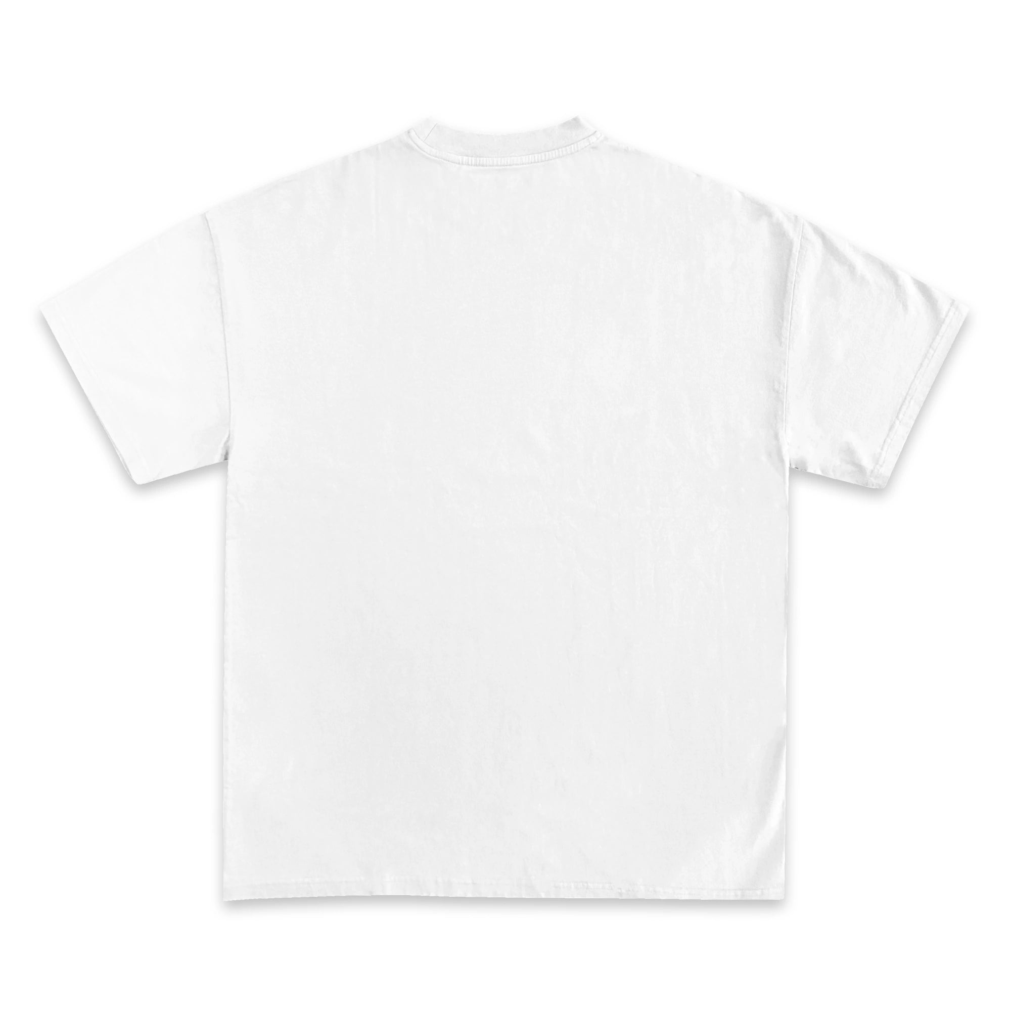 1996 Chicago Bulls NBA Champions T-Shirt